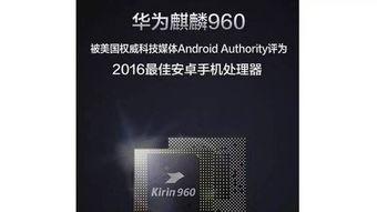 国产二页,引领科技潮流的创新之作