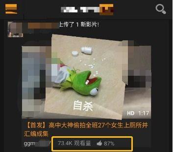 国产色情视频在线,暗流涌动的网络迷雾